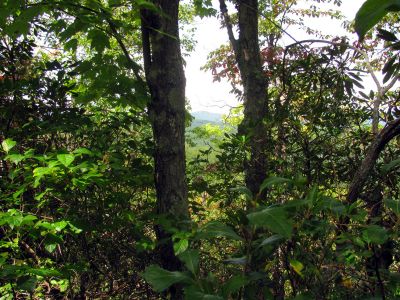 View of Grandfather Mountain (where we started some 5 days earlier)
