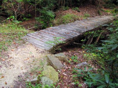 Old bridge along the trail down to Upper Creek 
