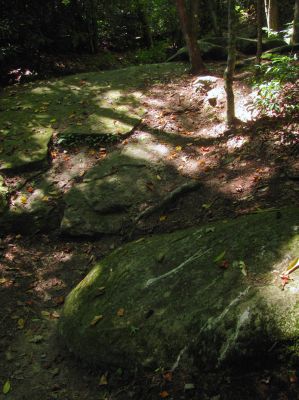 Trail leading out of Upper Creek up towards NC highway 181
