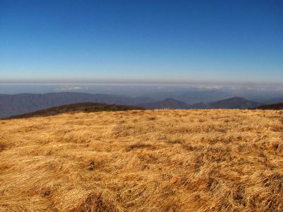 Taken on a Work Trip, 3-1-2011
