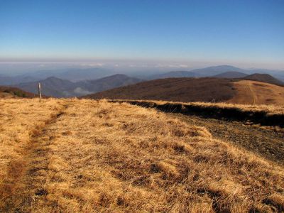 Taken on a Work Trip, 3-1-2011
