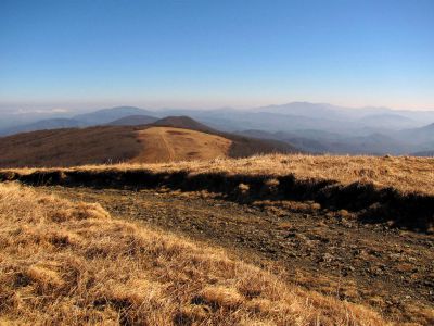 Taken on a Work Trip, 3-1-2011
