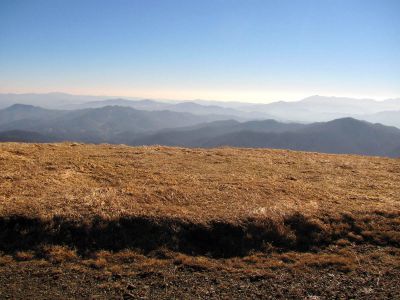 Taken on a Work Trip, 3-1-2011
