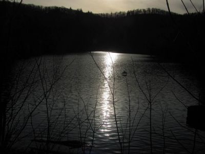Taken Feb 3, 2012
