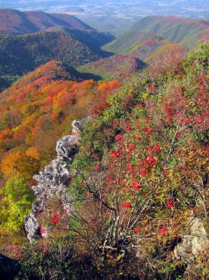 Part of Blackstack Cliffs (Taken 10-8-2011)
