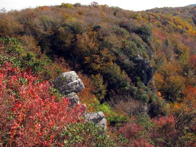 View from Blackstack Cliffs (Taken 10-8-2011)
