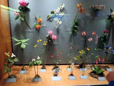 Taken inside the Grandfather Mountain Park Museum 10-19-2012
