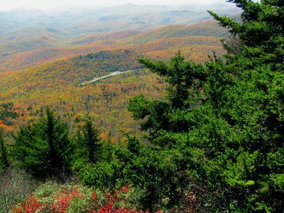 View of Beacon Heights from the mile high swinging bridge taken 10-19-2012
