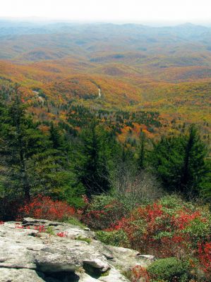 View from the mile high swinging bridge taken 10-19-2012
