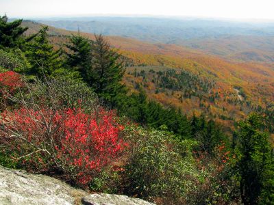 View from the mile high swinging bridge taken 10-19-2012
