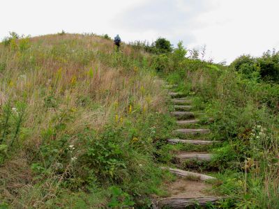 Ascending Max Patch (9-9-2010)
