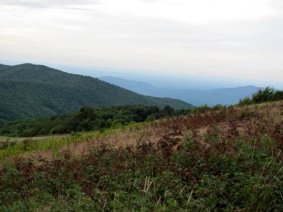 View from Max Patch 9-9-2010
