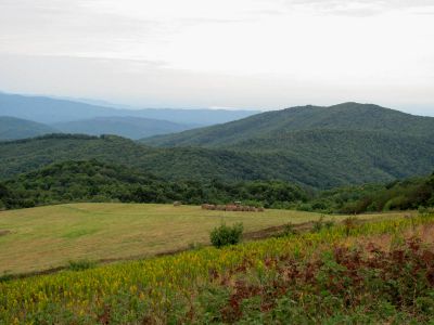 View from Max Patch 9-9-2010
