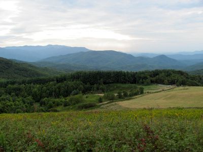View from Max Patch 9-9-2010
