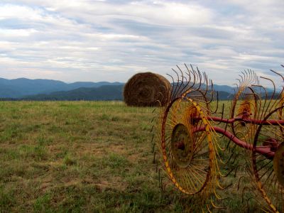  Max Patch 9-9-2010
