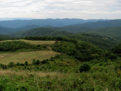 View from Max Patch  9-9-2010
