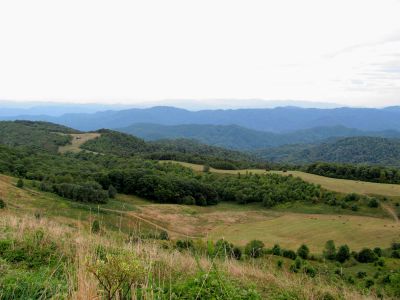 View from Max Patch  9-9-2010
