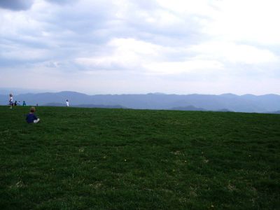 Max Patch  (4-2004)
