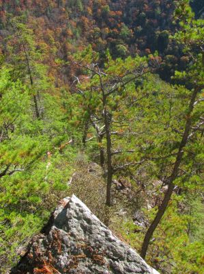 This we called Fornication Point and is the landing zone at the bottom of the rope
