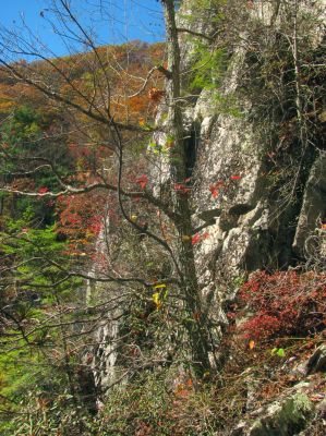 Continuing along the ledge 
