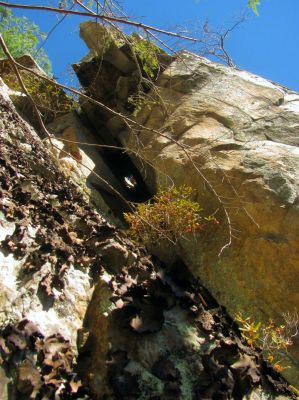 Another crack, Looking up  at the left part of the cliff tops from my puckering ledge perch. if you zoom in you can see Tyler looking down at me through that tiny hole  up top !! 
