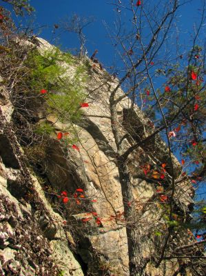 Larry at the top of the Rhino Cliffs adds some scale to how high they are above me from the ledge. Keep in mind that I am on the ledge which is no where near the base of these mighty cliffs !! 
