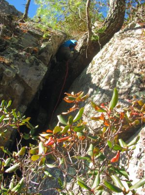 Tyler couldn't resist coming back down the rope to join us for more explorations as our excitement was definitely contagious ! 
