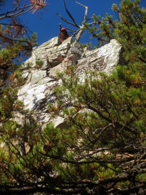 if you look closely you can see Larry Jarret on the tip top of the cliffs as I look back to try and get some scale to the actual height of these amazing cliffs  (zoomed) 
