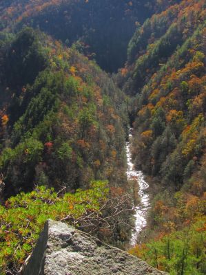 View of Laurel Creek as seen from Diamond Rock as it makes its way past Potato Top 
