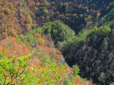 View from the Diamond Rock looking down on where Lower laurel Falls is 
