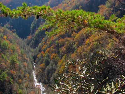 Laurel Creek gorge 
