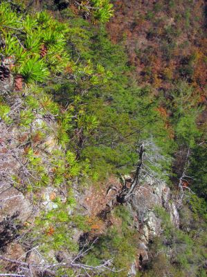 This is part of the drop that would require roping to continue (safely) down and would be the first major obstacle you would encounter if climbing up from the bottom. it would be hard to do that as you would be unable to throw a rope up that high so would require some serious freestyle climbing ! 
