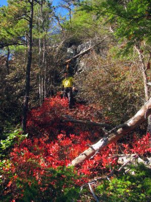John finds himself in a sea of reds ! 
