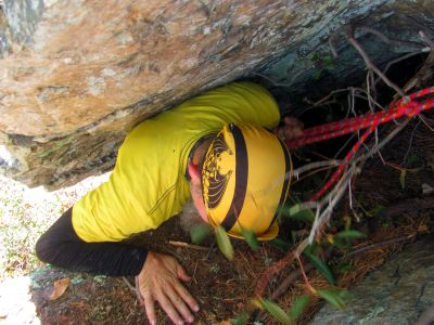 Finally a hand on the root makes all the difference in the world ! Its whipped now ! 
