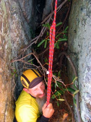 Once on top of the pine tree root there is still much vertical to go but its much easier since there are places to get a toe in where below it there is nothing. 
