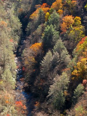 Zoomed shot of Laurel Creek way down below us 
