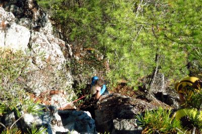 Tyler on his first descent of  the crack using the rope and harness he rigged up as John looks on with much interest  (Taken with my larger camera) 
