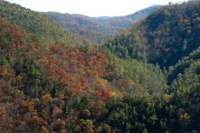 View from cliffs (taken with my larger camera) 

