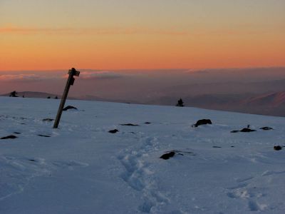 Taken February 27, 2015
