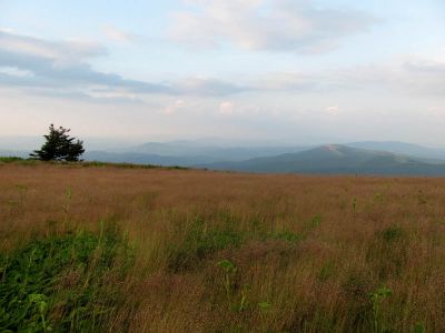 View from Roan balds
taken 7-11-2010
