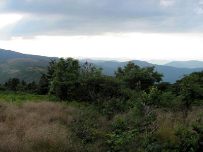 Views from Roan balds
taken 7-11-2010

