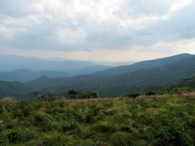 View from Roan balds
