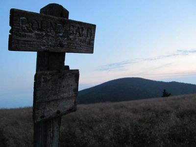 Round Bald sign
Taken 7-11-2010
