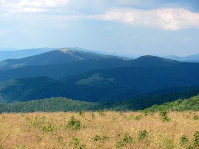 View from Roan balds
Taken 7-11-2010
