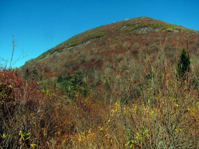 Looking up at part of  Sam Knob from the Flat Laurel Creek Trail  - 10-22-2014

