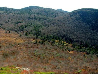 View from Sam Knob. Looking down on the Flat Laurel Creek Valley  Taken 10-22-2014

