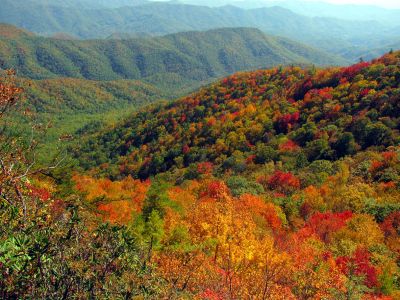 View from Whiterock Cliffs (Taken 10-8-2011)
