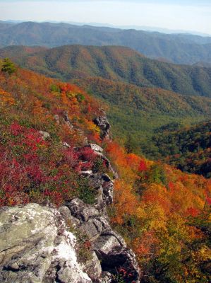 View from Whiterock Cliffs (Taken 10-8-2011)
