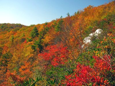 View from Whiterock Cliffs (Taken 10-8-2011)
