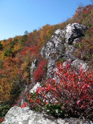 View from Whiterock Cliffs (Taken 10-8-2011)
